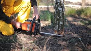 Best Emergency Tree Removal  in Corsicana, TX