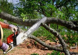  Corsicana, TX Tree Services Pros